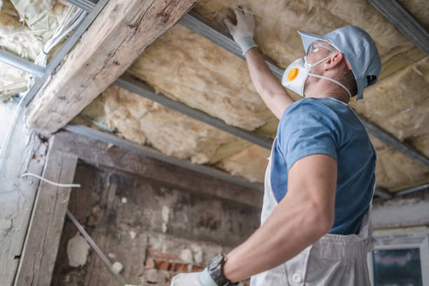 Best Insulation Maintenance and Repair in East Jordan, MI